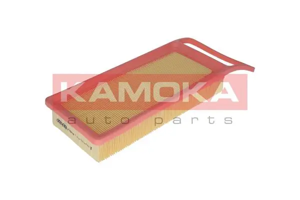 Air Filter F208701
