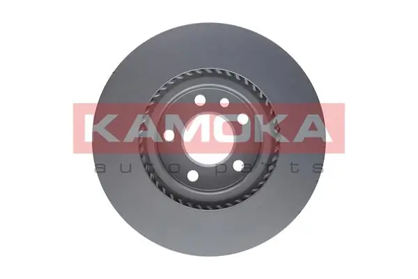 Brake Disc 1031119