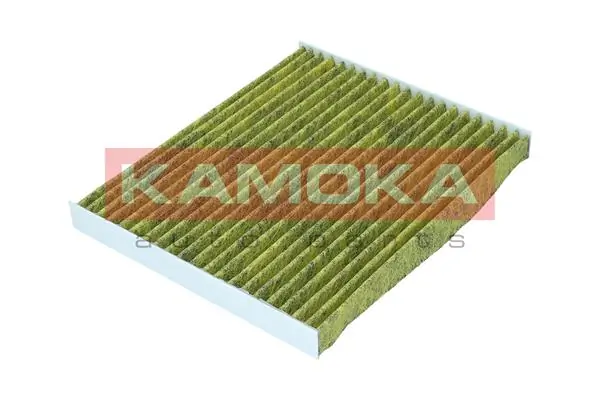 Filter, cabin air 6080158