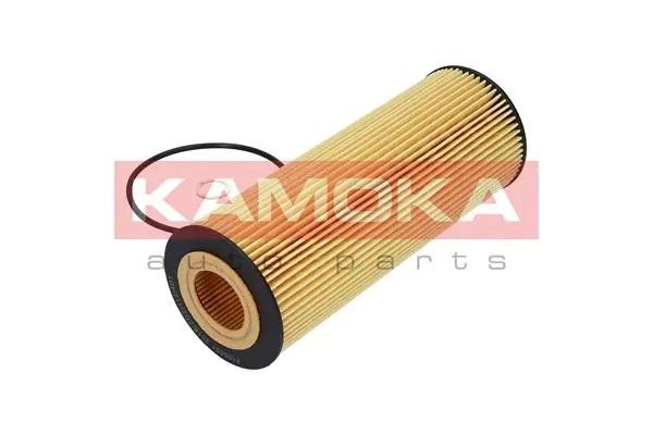 Oil Filter F105501