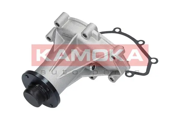 Water Pump, engine cooling T0289