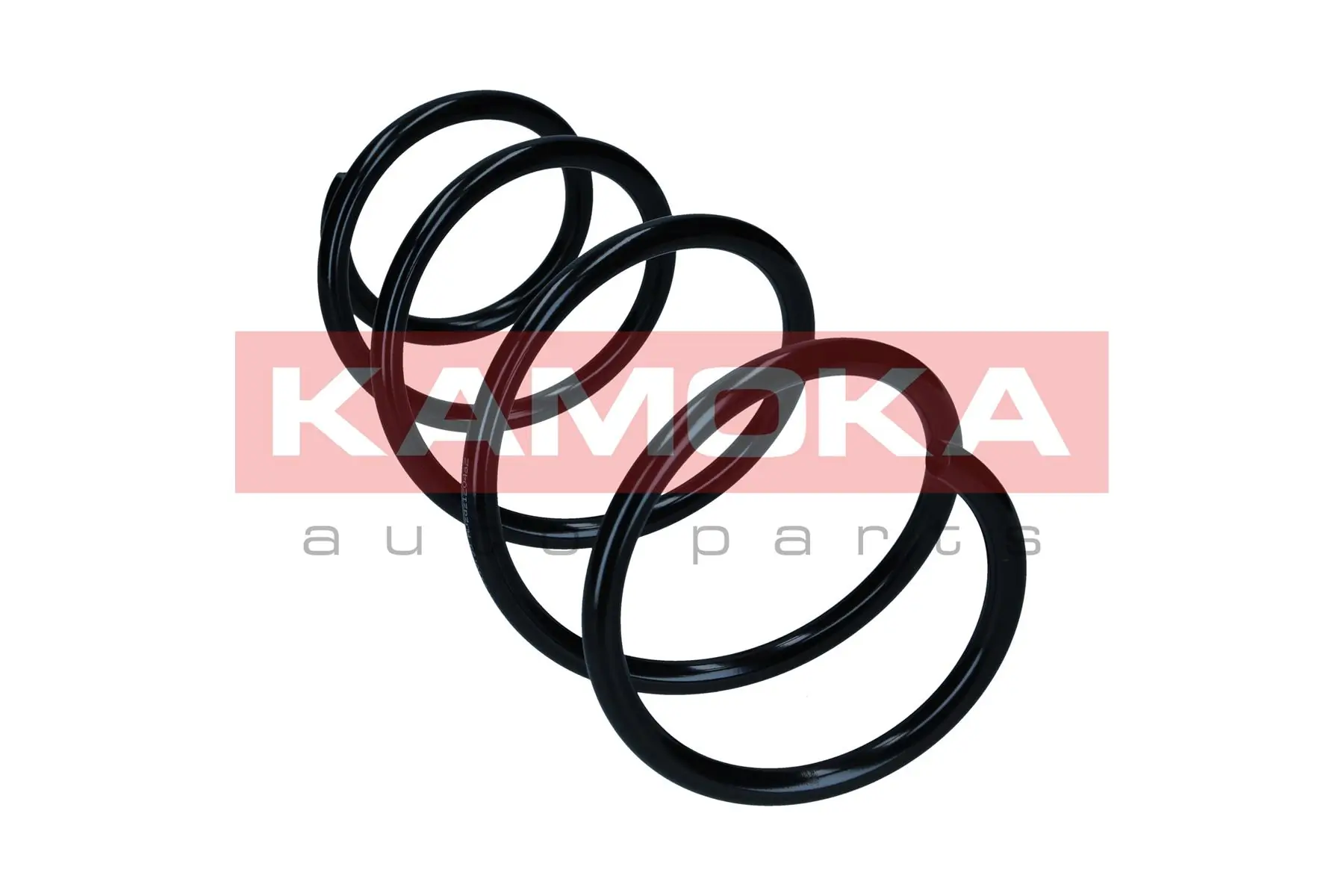 Suspension Spring 2110799