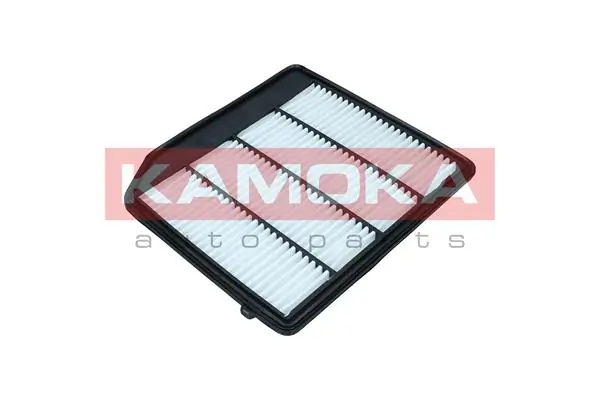 Air Filter F258501