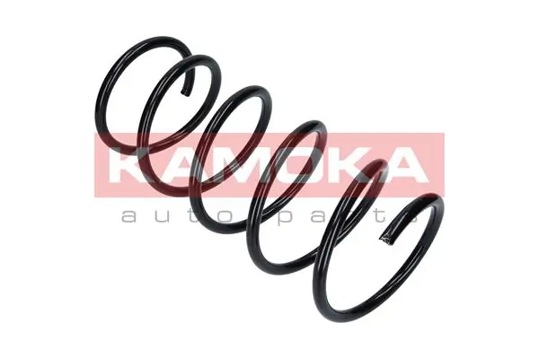 Suspension Spring 2110047