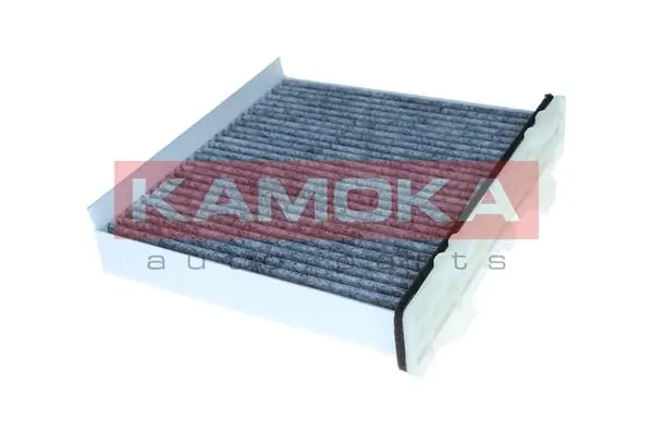 Filter, cabin air F526501