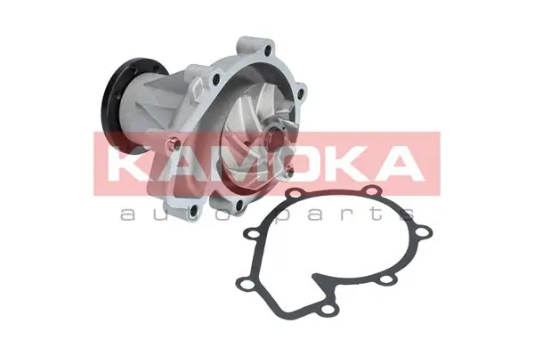 Water Pump, engine cooling T0181