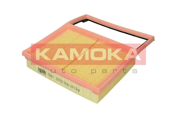 Air Filter F252901