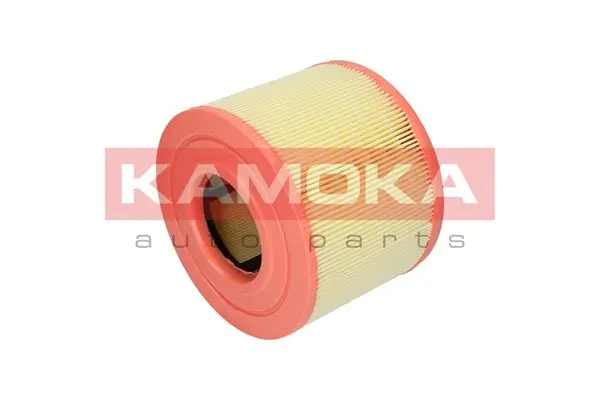 Air Filter F215201