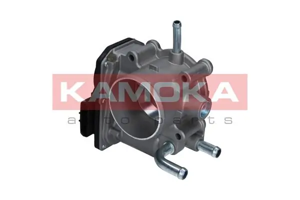 Throttle Body 112029