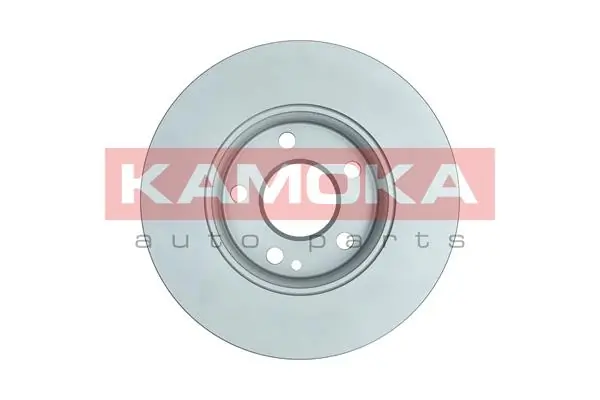 Brake Disc 103589