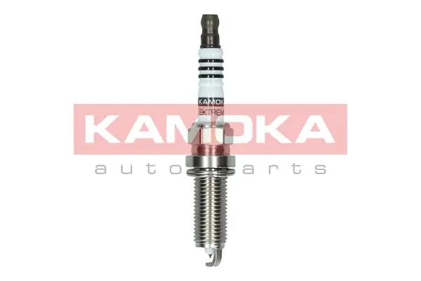 Spark Plug 7100036