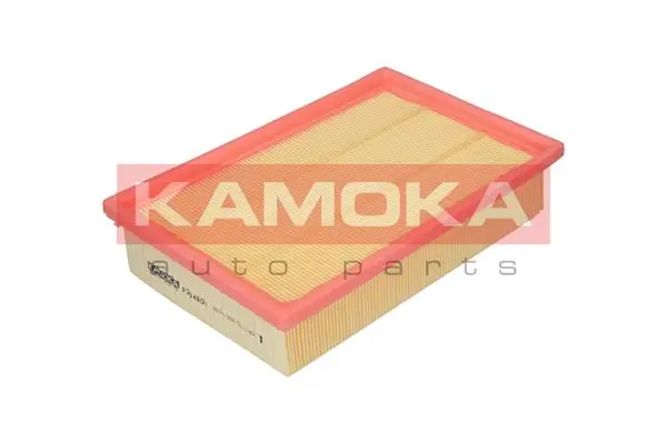 Air Filter F204801