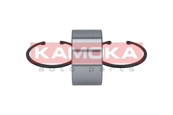 Wheel Bearing Kit 5600003