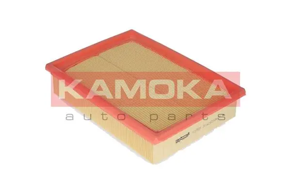 Air Filter F218501