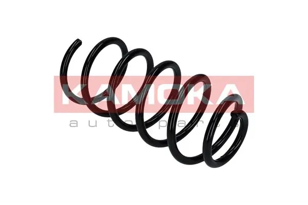 Suspension Spring 2120261