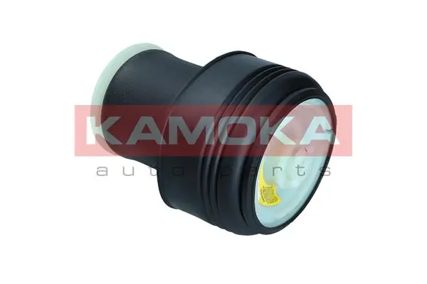 Air Spring, suspension 2079023