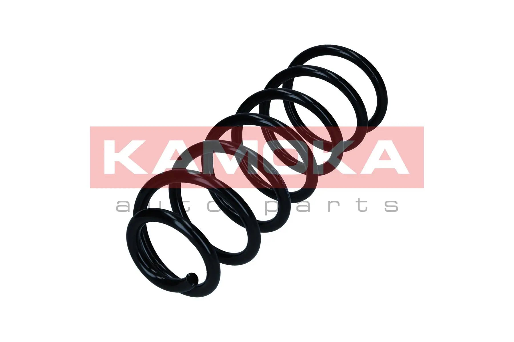 Suspension Spring 2120385