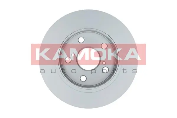Brake Disc 1031031