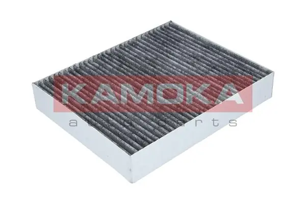 Filter, cabin air F509501