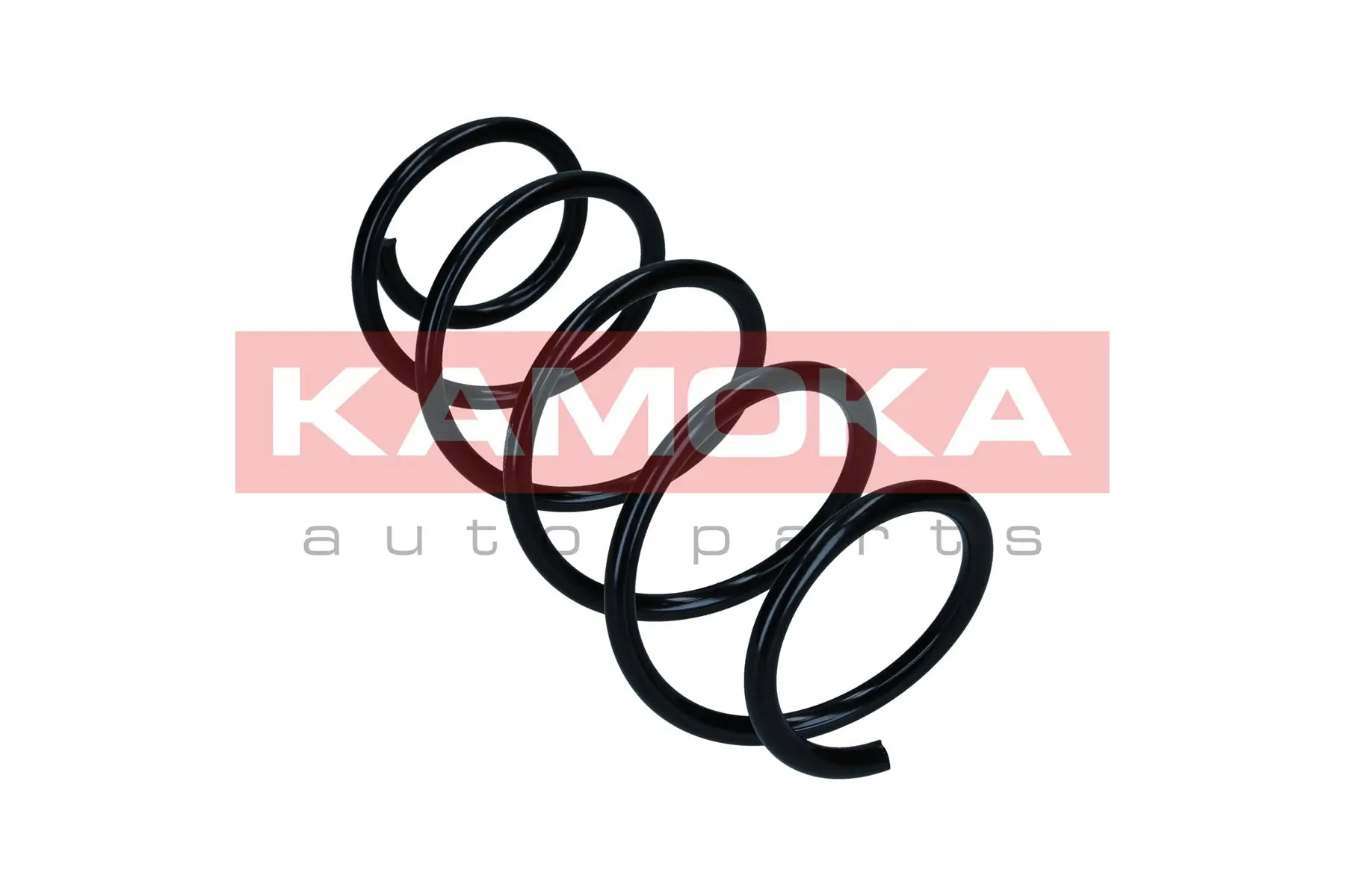 Suspension Spring 2110572