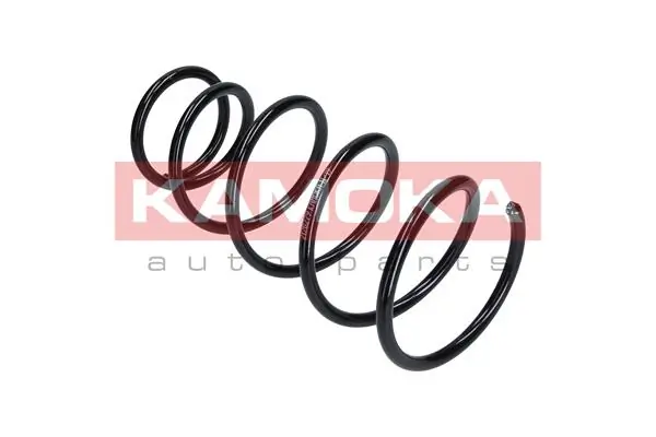 Suspension Spring 2120279