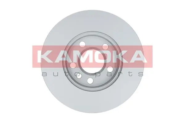 Brake Disc 1032020