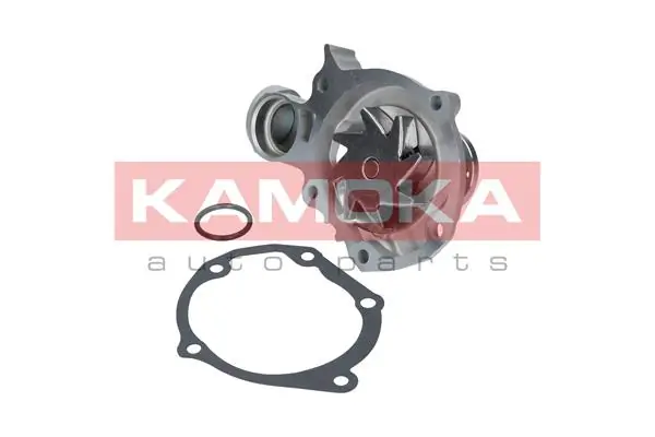 Water Pump, engine cooling T0209