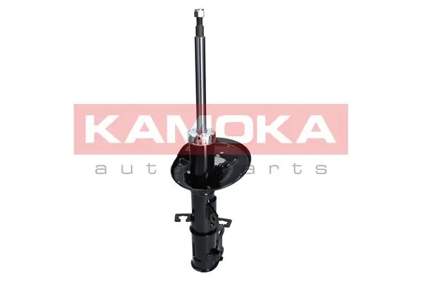 Shock Absorber 2000156