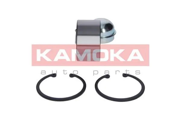 Wheel Bearing Kit 5600029