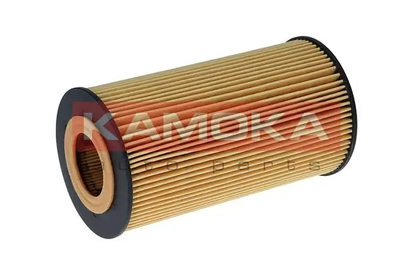 Oil Filter F129801