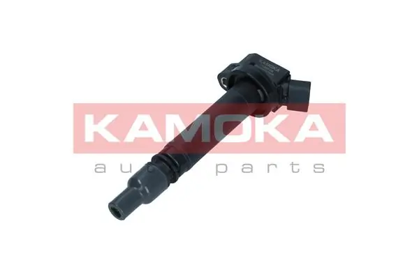 Ignition Coil 7120012