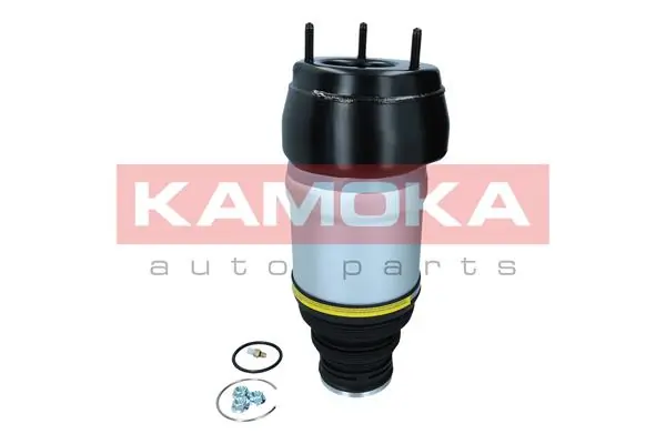 Air Spring, suspension 2079047