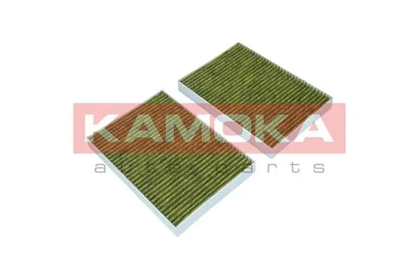 Filter, cabin air 6080042
