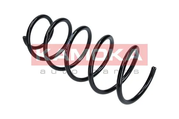 Suspension Spring 2110229