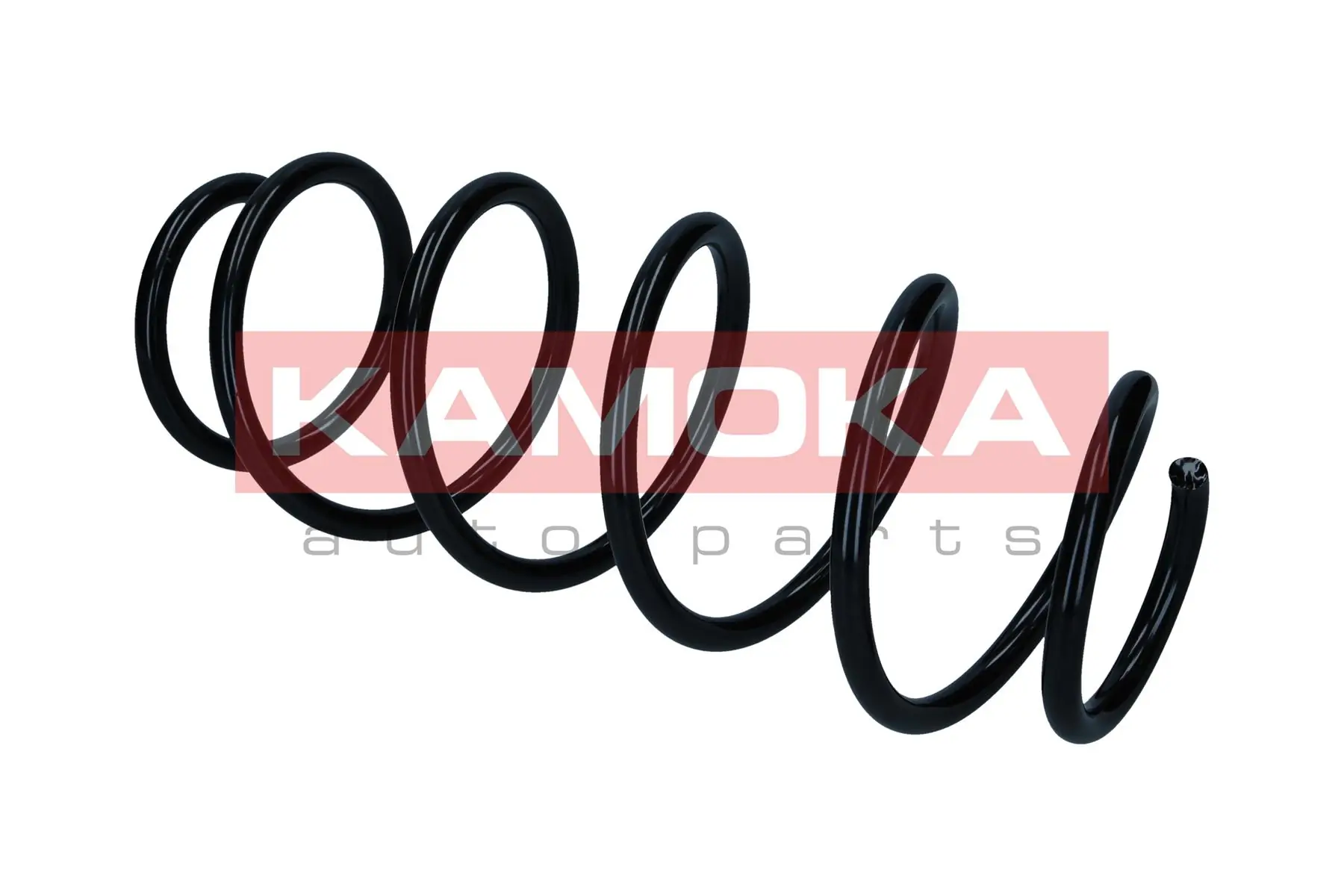 Suspension Spring 2110705