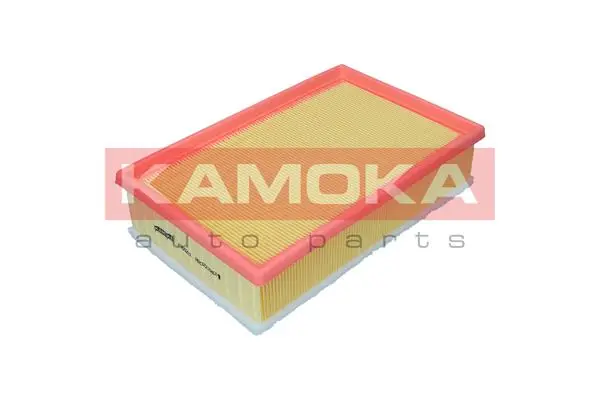 Air Filter F255201
