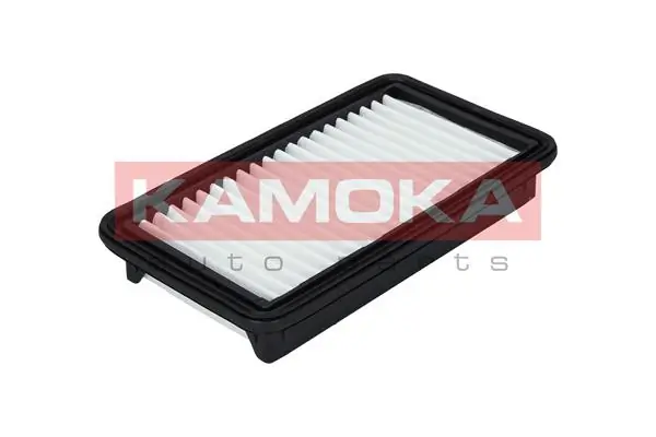 Air Filter F212901