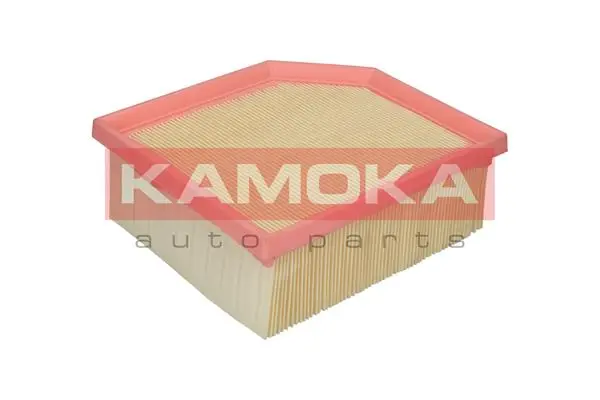 Air Filter F228301