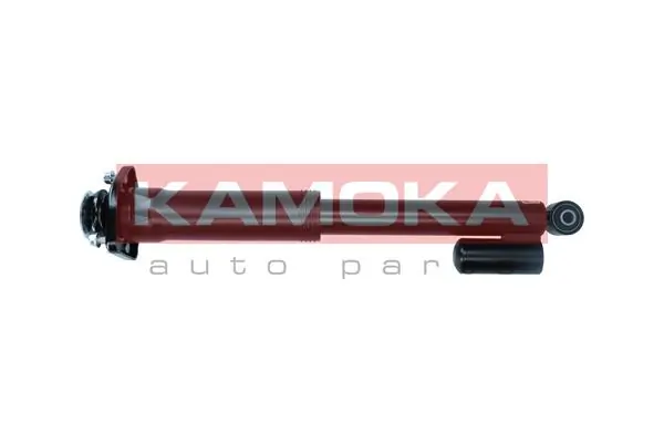 Air Suspension Strut 2070022