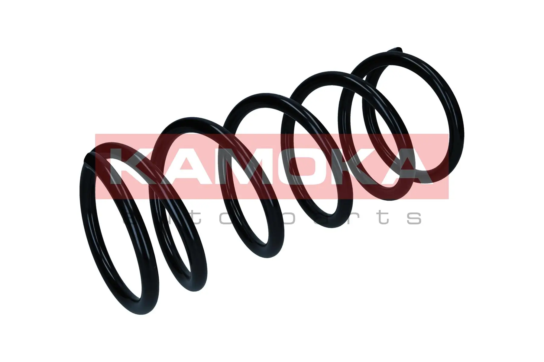 Suspension Spring 2110468