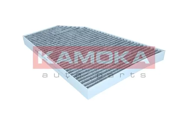 Filter, cabin air F520701