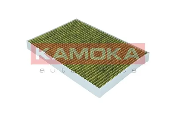 Filter, cabin air 6080013