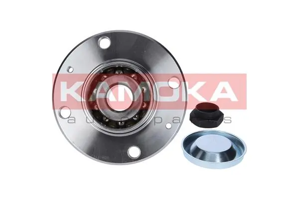 Wheel Bearing Kit 5500006