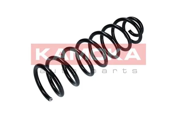 Suspension Spring 2110158