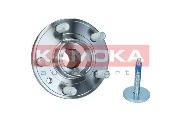 Wheel Bearing Kit 5500244