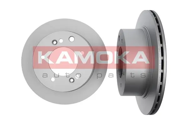Brake Disc 1031049