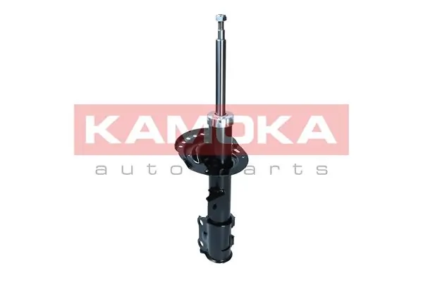 Shock Absorber 2001171