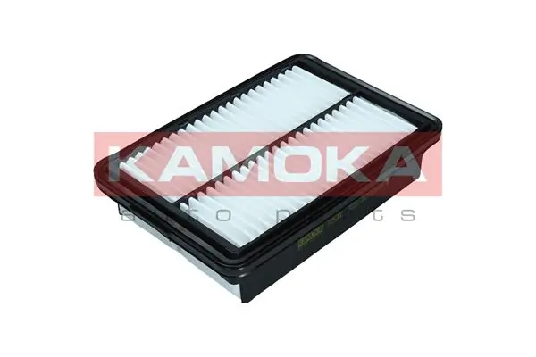 Air Filter F252001