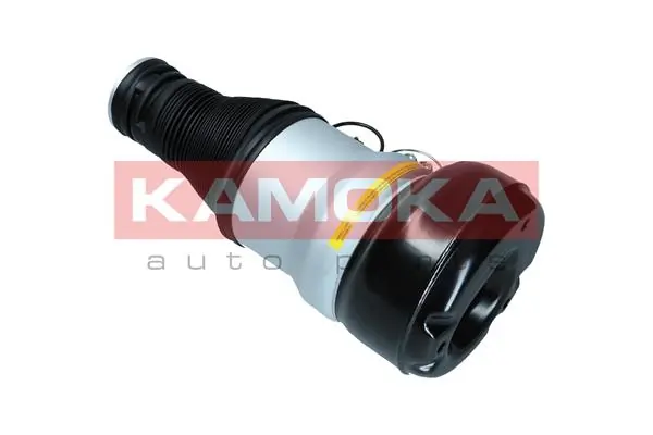 Air Spring, suspension 2079057