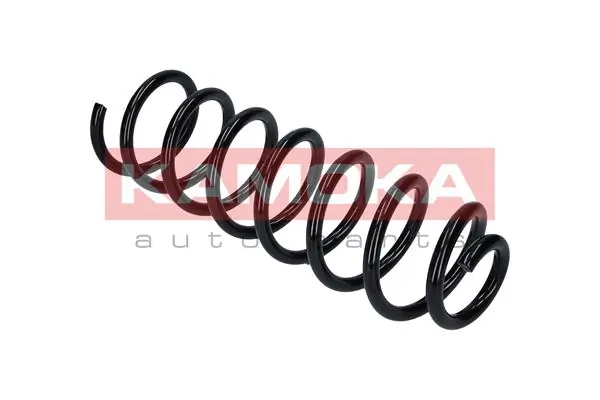 Suspension Spring 2120209